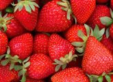 स्‍ट्रॉबेरी के 19 फायदे, उपयोग और नुकसान - Strawberry Benefits, Uses ...