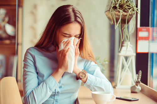 The Well-Mannered Sneezer