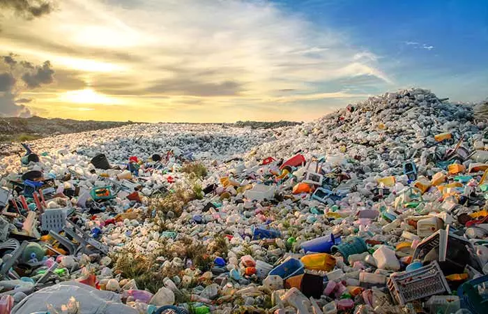 We all know that we are living in an extremely polluted environment right now