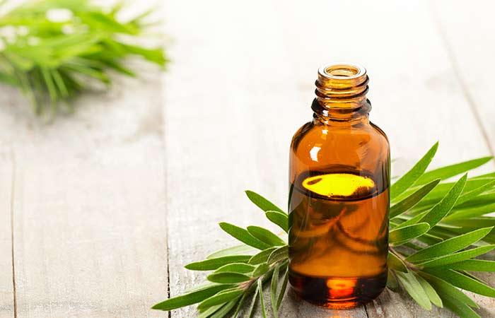 Tea tree oil for dry socket