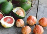 सुपारी खाने के फायदे और नुकसान - Betel Nut (Supari) Benefits and Side ...