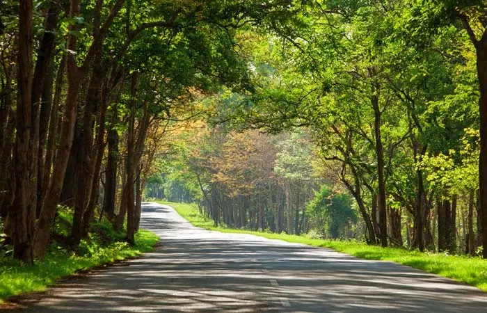 Bandipur National Park