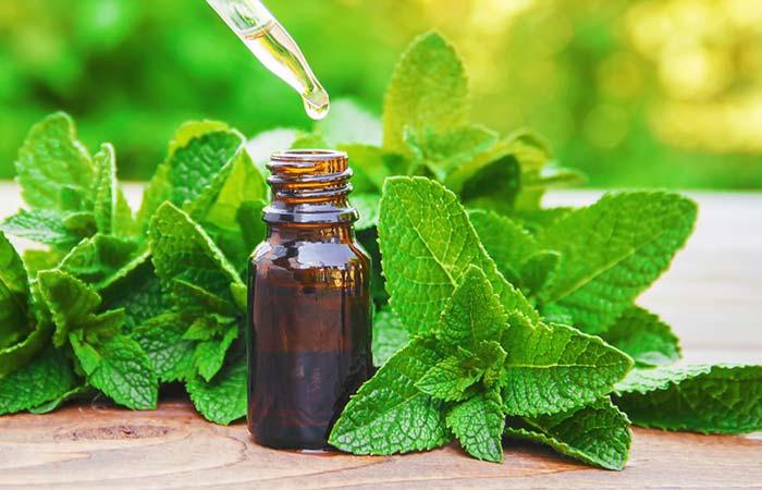 Benefits of Peppermint Oil in Hindi