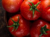टमाटर के फेस पैक - चेहरे पर टमाटर लगाने के फायदे - Benefits of Tomato ...