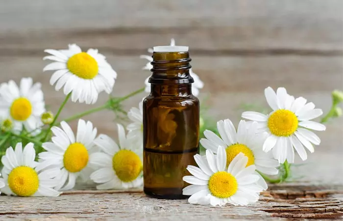 Chamomile Oil