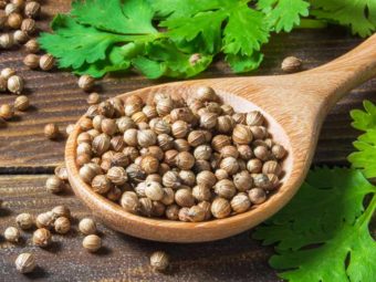 Coriander Seeds Benefits and Uses in Hindi (3)