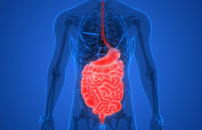 For digestion