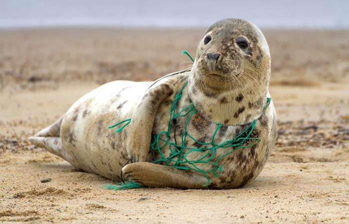 How Bad Is Plastic Pollution As Of Today