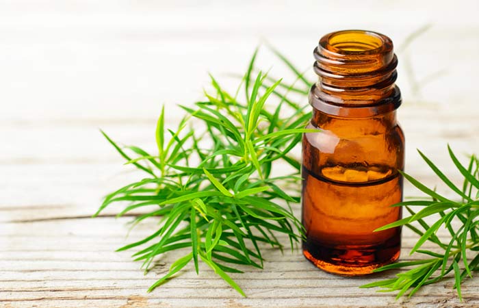 Is tea tree oil beneficial for hair