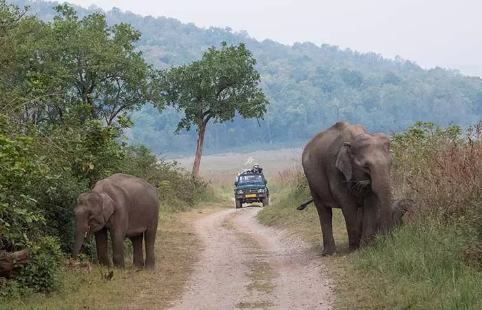 Jim Corbett National Park