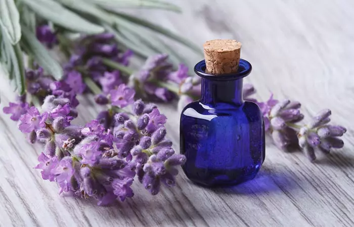 Lavender Oil