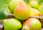 नाशपाती के 25 फायदे और नुकसान – Pears (Nashpati) Benefits and Side ...