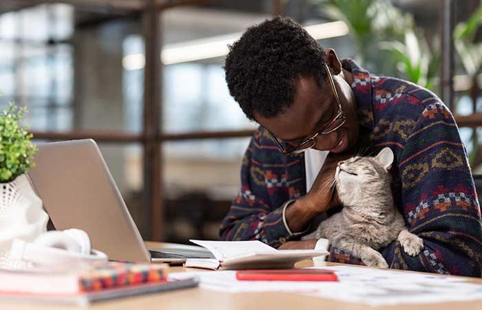 Pets Help Boost And Enhance Relationships Within The Work Team