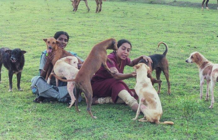 Rescued From Euthanasia & Abuse, Woman Gives 800+ Animals A Retirement Home! (2)