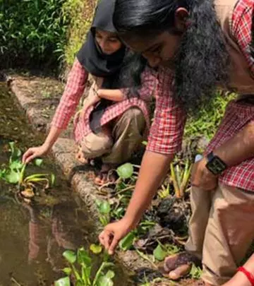 Sanitary Napkins From Aquatic Weed This School Team From Kerala Creates Low Cost, Biodegradable Pads
