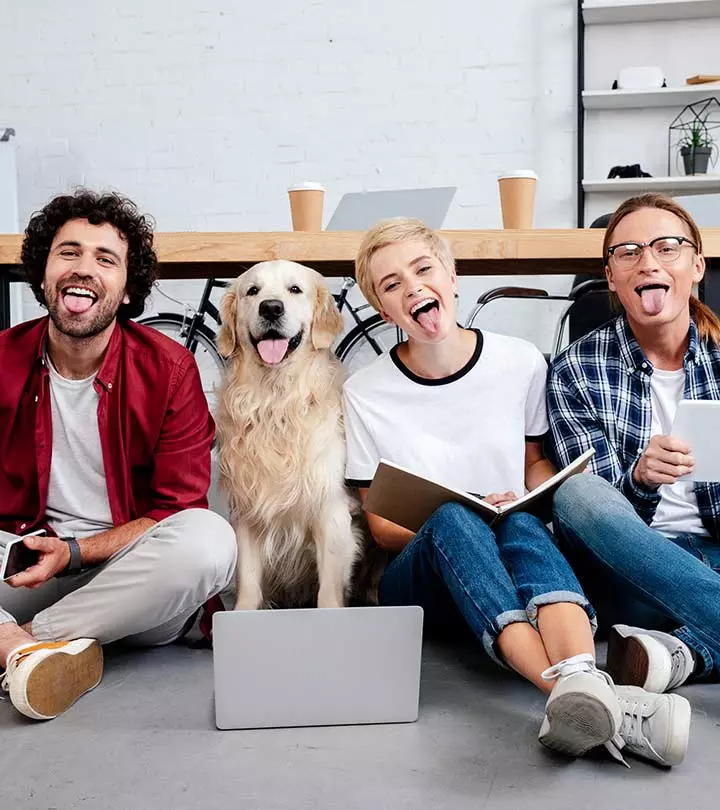 Scientists Say Having Pets In the Office Can Reduce Stress And Make You More Productive