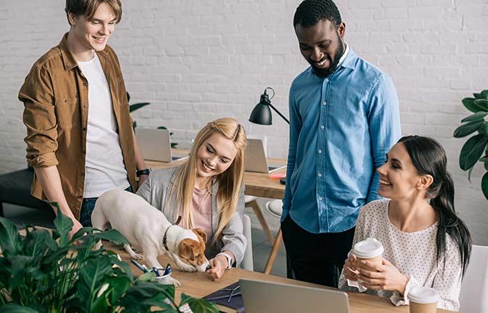 Scientists Say Having Pets In the Office Can Reduce Stress And Make You More Productive