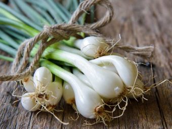 Spring Onion Benefits and Side Effects in Hindi