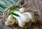 हरे प्याज के 13 फायदे और नुकसान - Spring Onion Benefits and Side ...