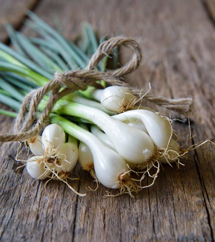 हरे प्याज के 13 फायदे और नुकसान - Spring Onion Benefits and Side ...
