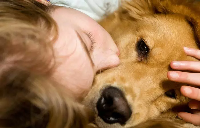 #1 – When Your Dog Comes And Snuggles With You