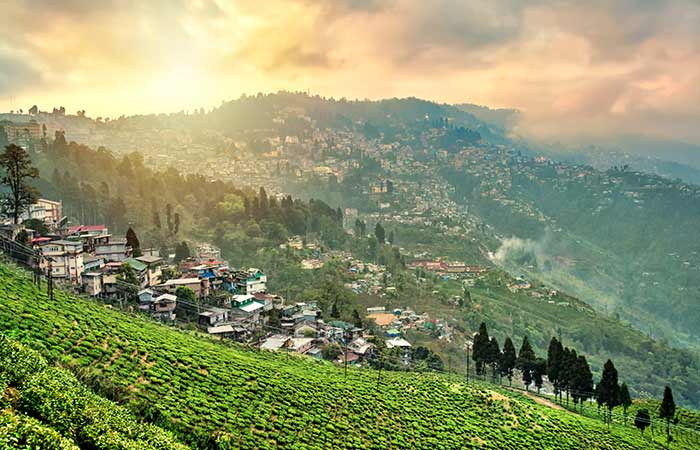 Darjeeling, West Bengal 