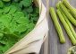 Drumstick (Moringa) and its Leaves’ Benefits in Hindi