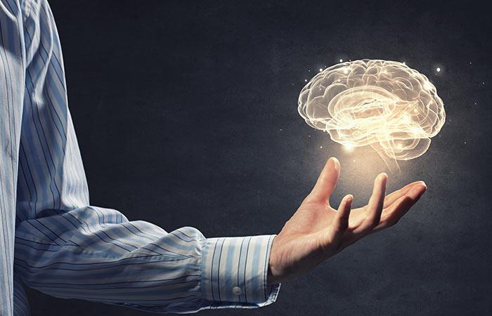 For the brain and nervous system