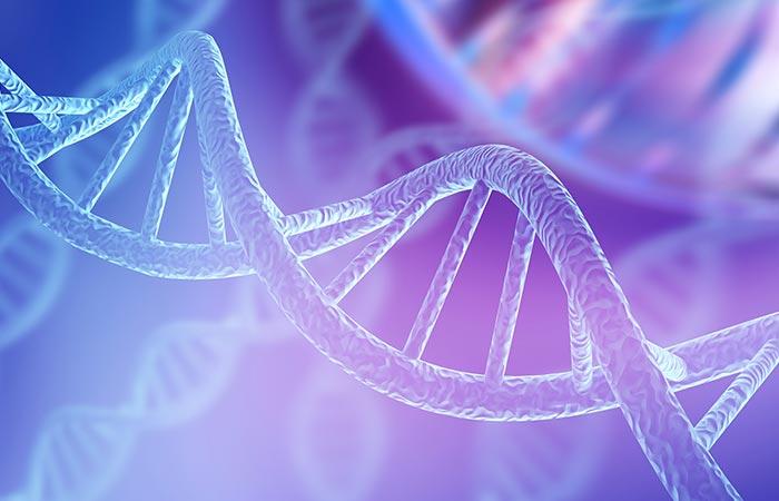 Help DNA synthesis