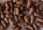 जामुन की गुठली के 10 फायदे और नुकसान - Jamun Seeds Benefits and ...