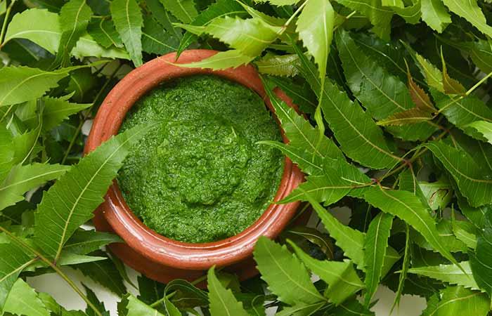 Neem leaves