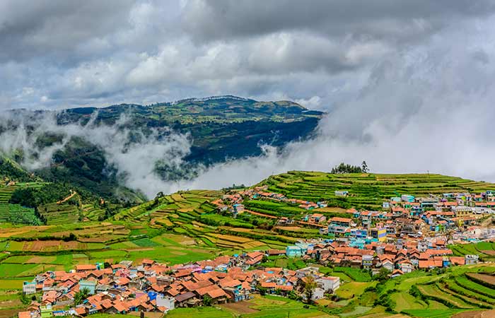 Ooty, Tamil Nadu 