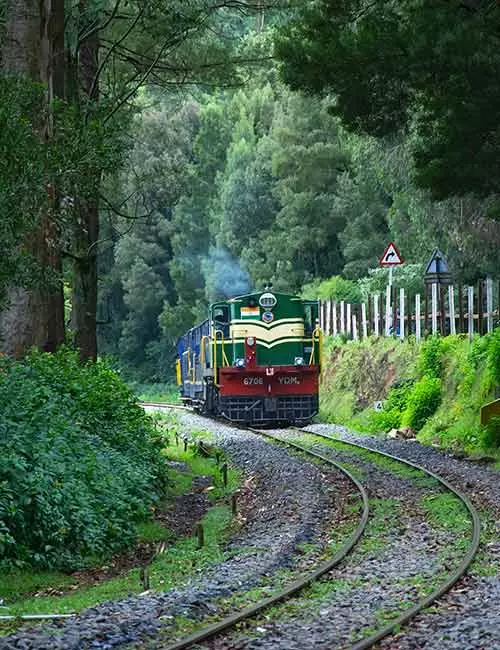 Ooty