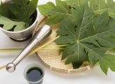 पपीता के पत्ते के जूस के फायदे और नुकसान - Papaya Leaf Juice Benefits ...