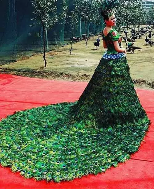 Peacock wedding dress is one of the most expensive wedding dresses