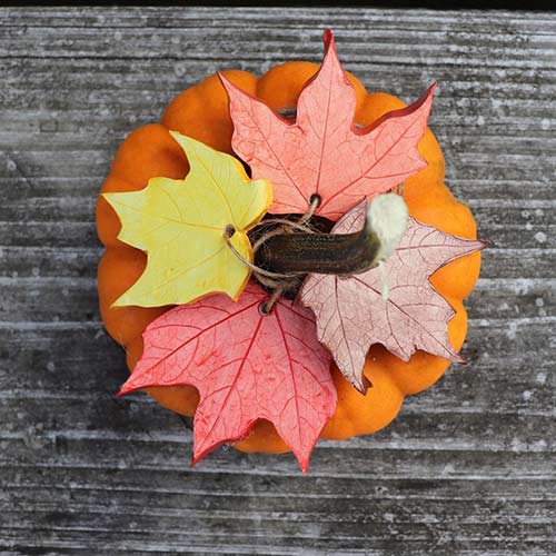 Pumpkin And Maple Leaves Centerpiece