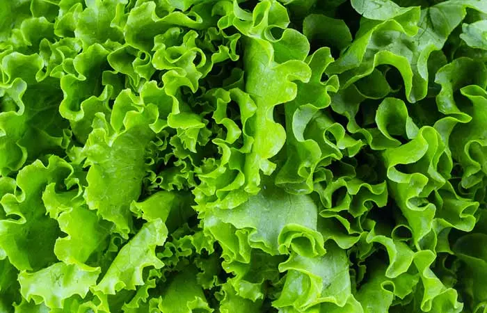 Swap Burger Bread For Lettuce