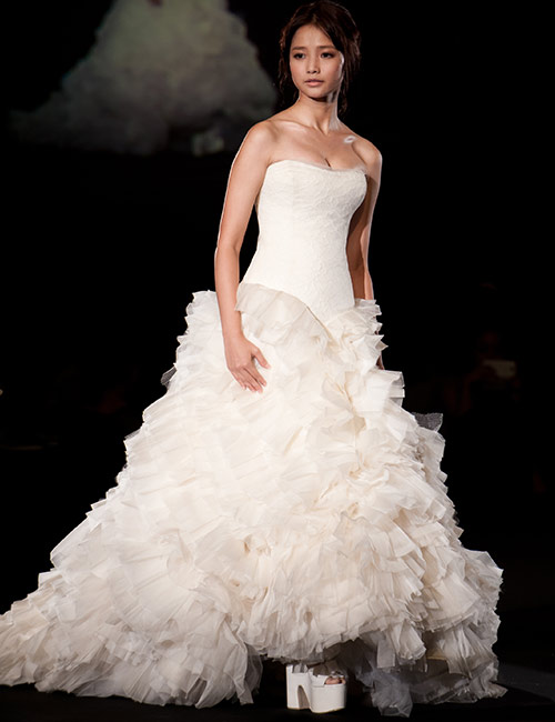 Vera Wang bridal gowns are some of the most expensive wedding dresses
