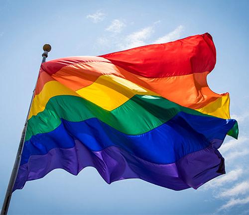 What Is Section 377