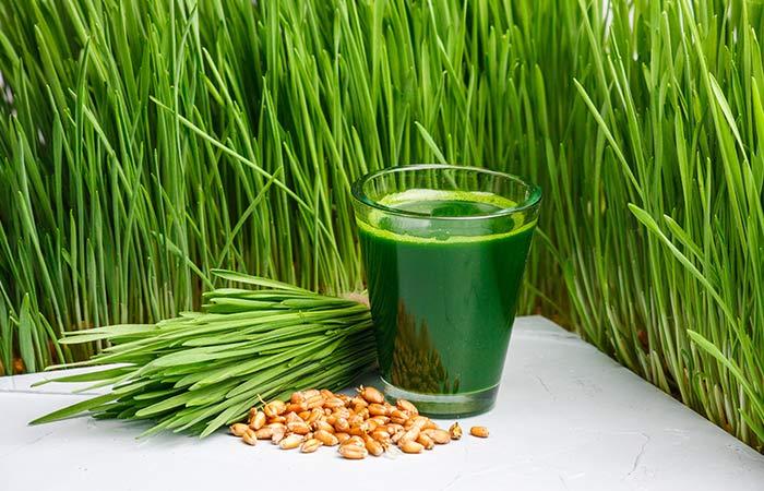 Wheatgrass)