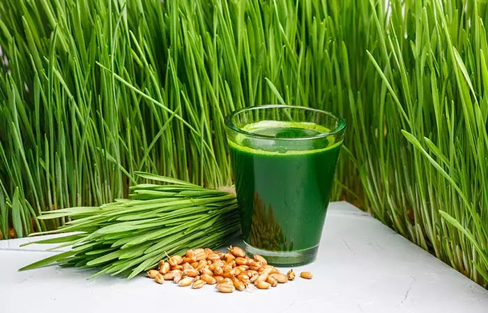 Wheatgrass to increase platelet count naturally
