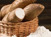 कसावा के फायदे, उपयोग और नुकसान - Cassava Benefits, Uses and Side ...