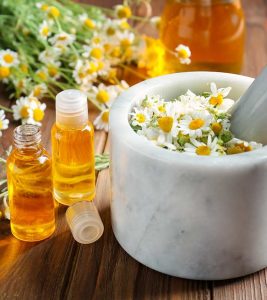Chamomile Oil Benefits and Side Effects in Hindi