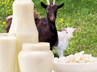 Goat Milk Benefits and Side Effects in Hindi