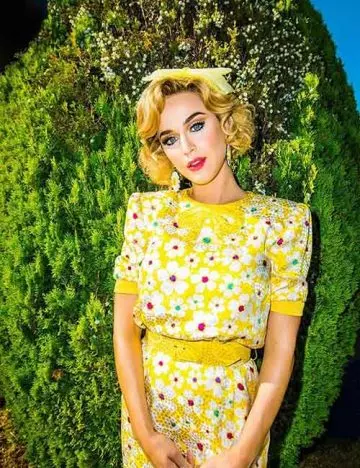 Some Facts You Never Knew About Katy Perry