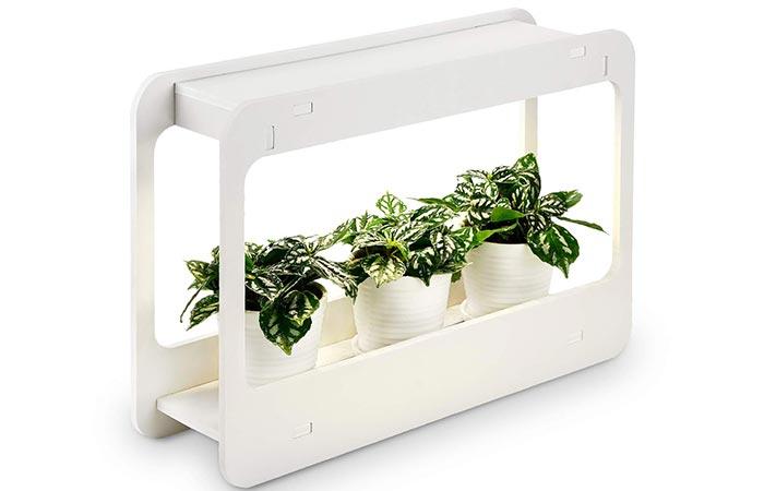 TORCHSTAR Plant Grow LED Light Kit