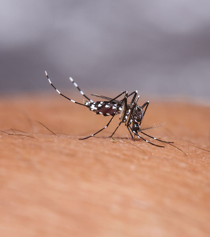 डेंगू बुखार में क्या खाना चाहिए  – Dengue Fever Diet in Hindi