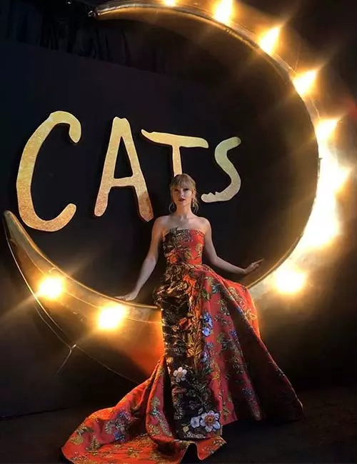 Cats On December 20th