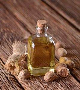 Nutmeg Oil Benefits and Side Effects in Hindi