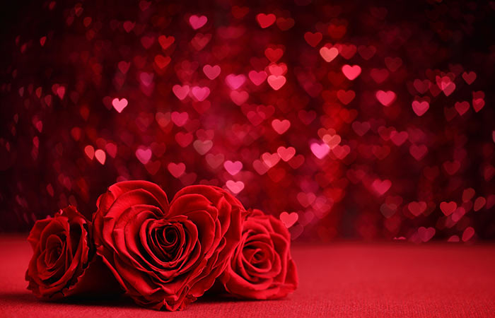 Best Rose Day Shayari and Messages in Hindi